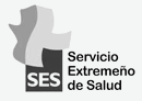 Servicio Extremeño de Salud